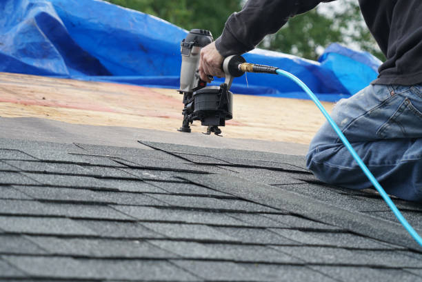 Best Best Roofing Contractors  in Shepherd, MI