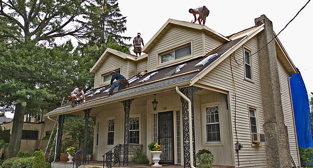 Best Metal Roofing Contractor  in Shepherd, MI