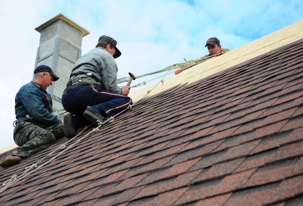 Quick and Trustworthy Emergency Roof Repair Services in Shepherd, MI